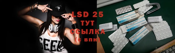 МДПВ Ельня