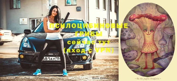 МДПВ Ельня