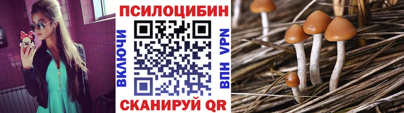 Псилоцибиновые грибы ЛСД Карабаш