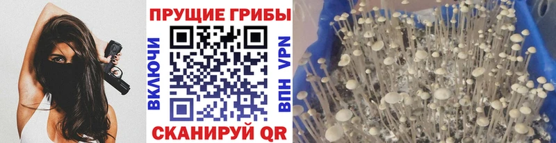 Галлюциногенные грибы ЛСД блэк спрут сайт Карабаш